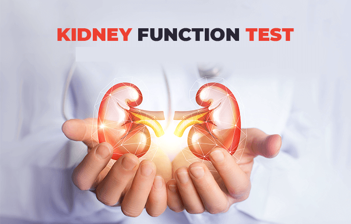 Kidney Function Tests (10 Tests)