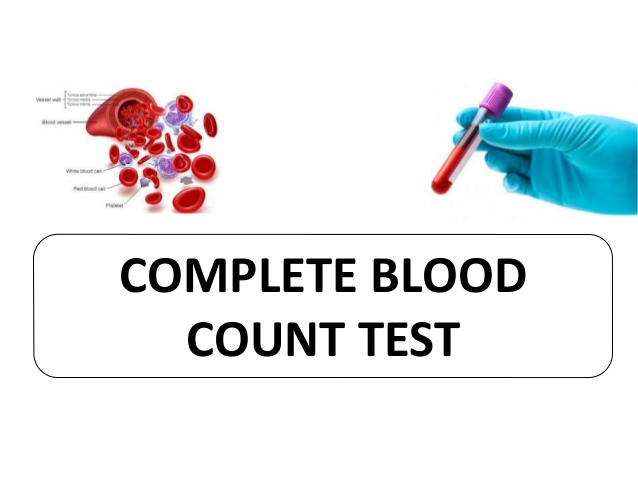 Complete Blood Count (19 Tests)